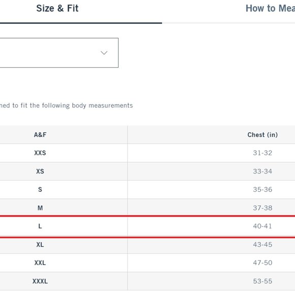 Abercrombie & Fitch Brown Autumn / Winter Jacket - Picture 13 of 13